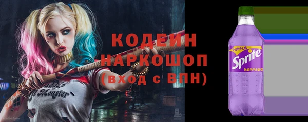 твердый Карпинск