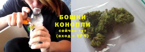 твердый Карпинск