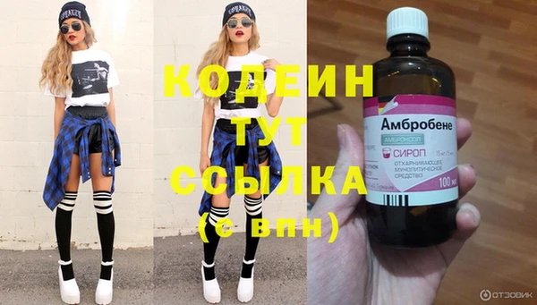 твердый Карпинск