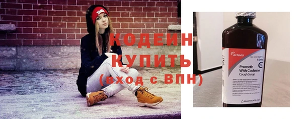 твердый Карпинск